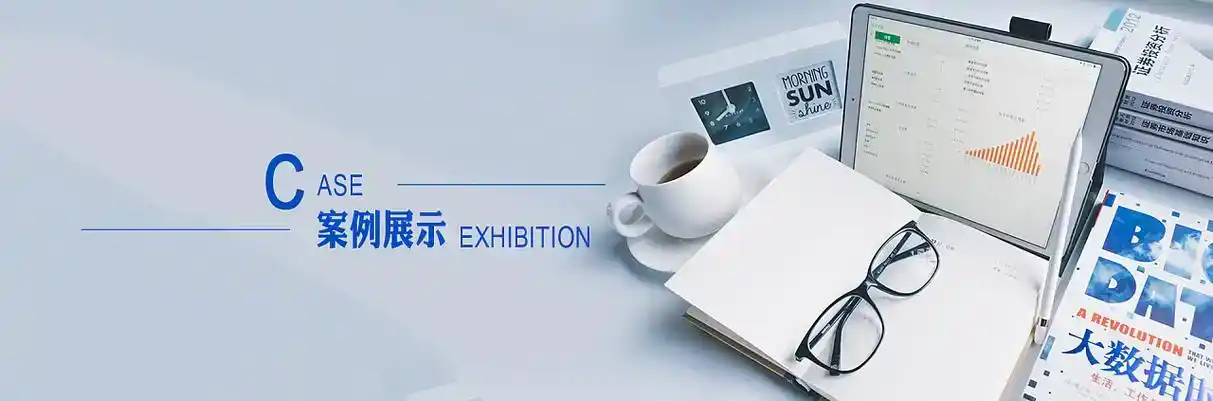 岳麓区软件开发